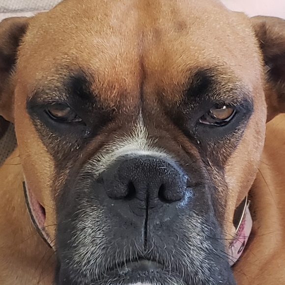 Meet your Posher, Richelle - Picture 3 of 4